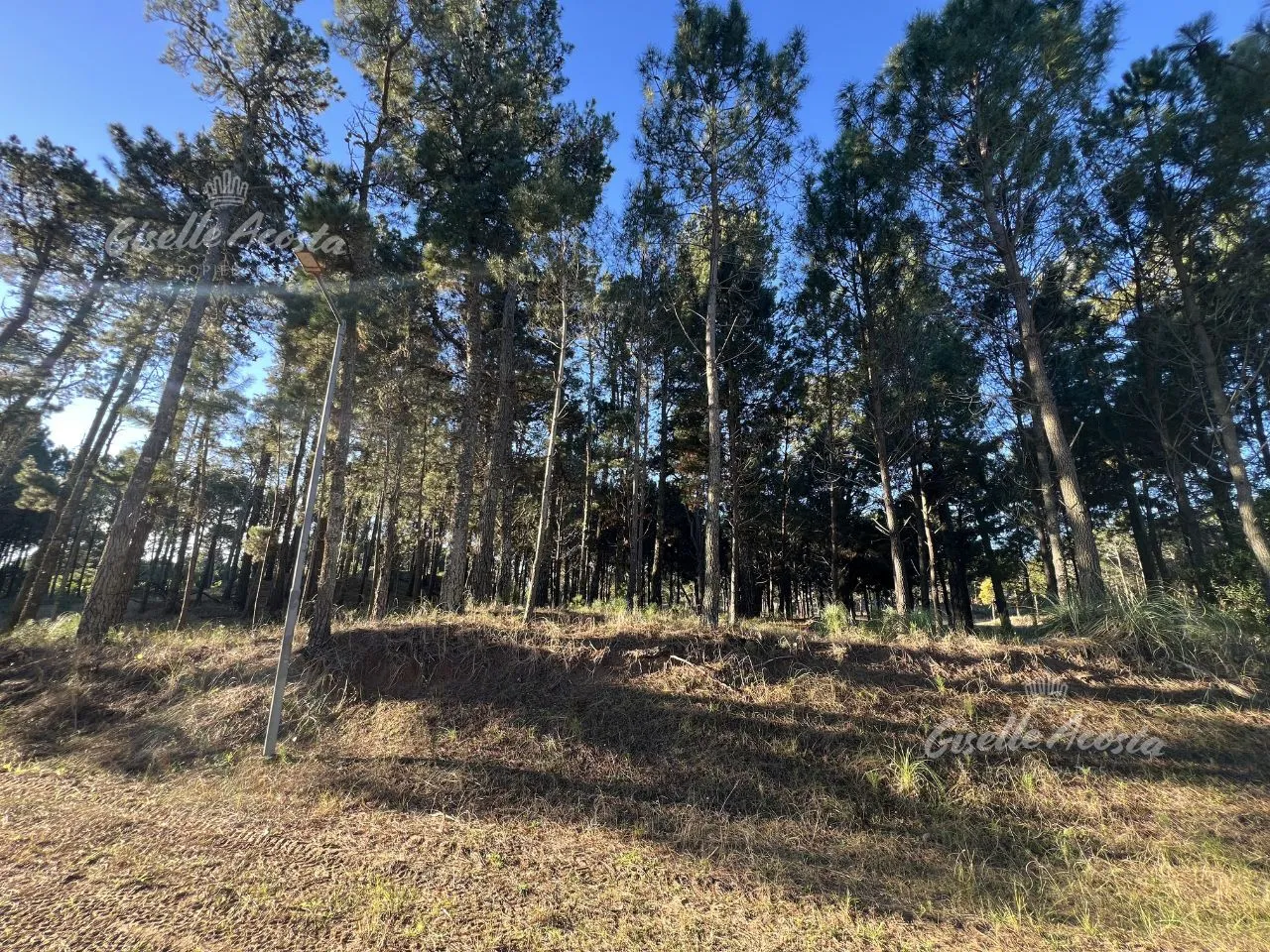 Lote en Avenida Verde de