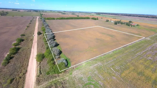 Campo en Camino rosas