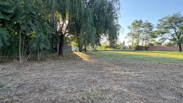 Lote en CARDONER