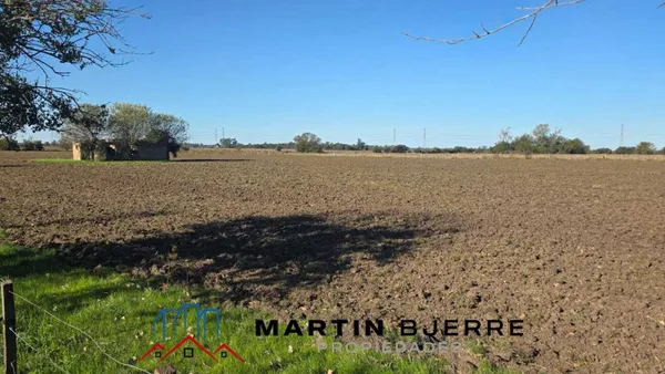 Campo en Loeffler