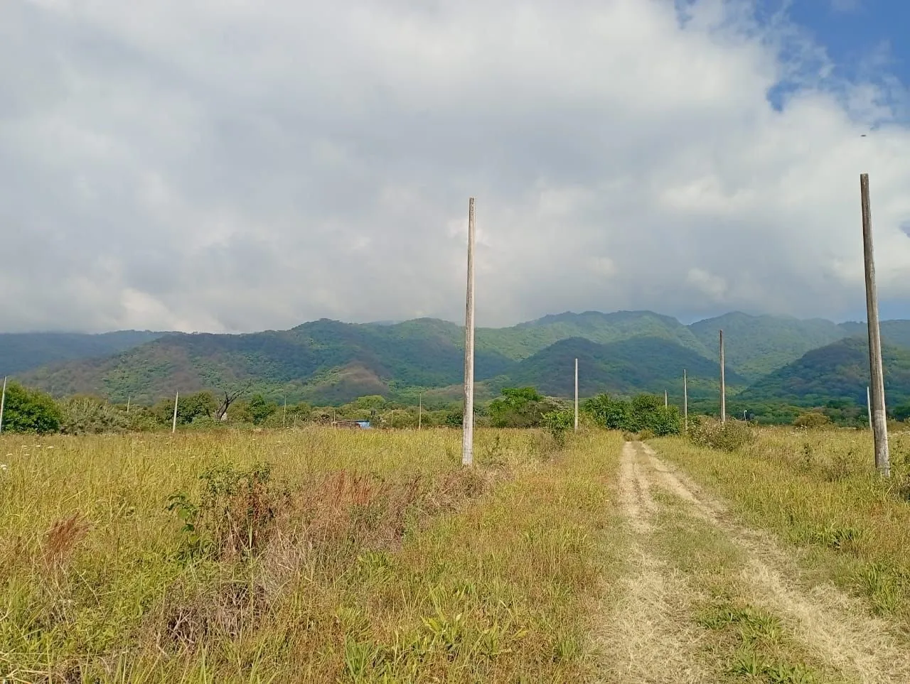 Lote en