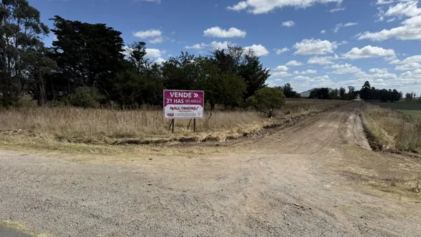 Campo