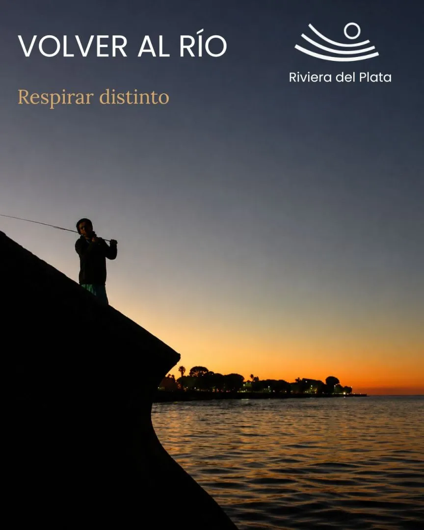 Lote en
