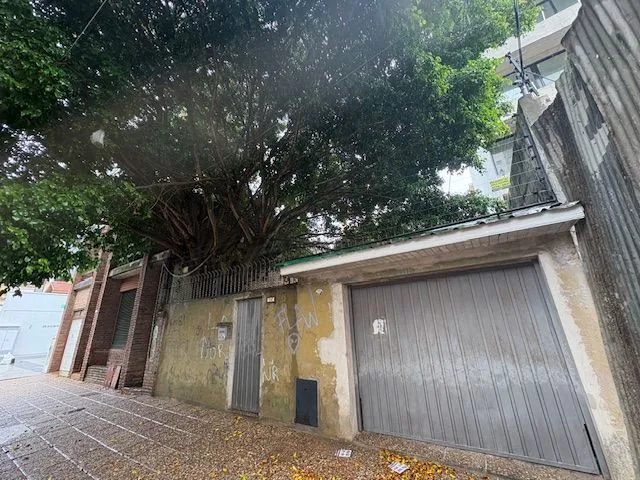 Lote en Alvear 300