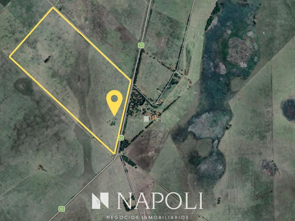 Campo en Ruta 52 km 17