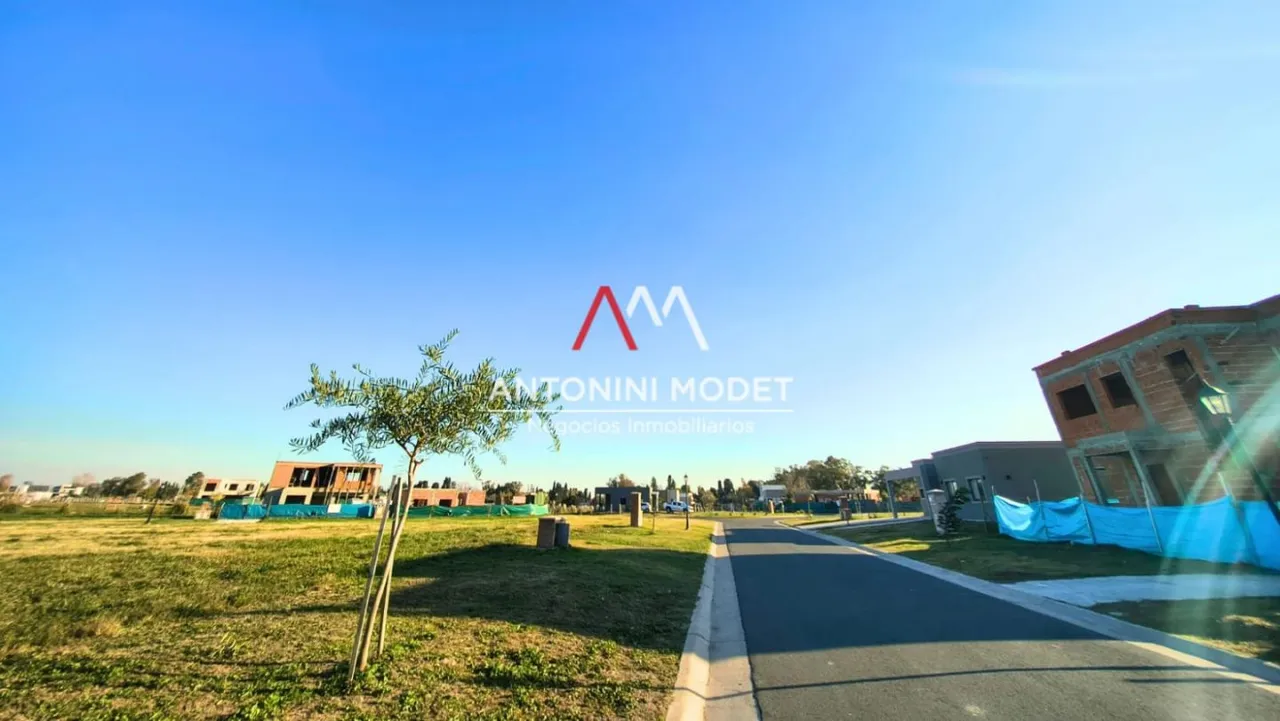 Lote en