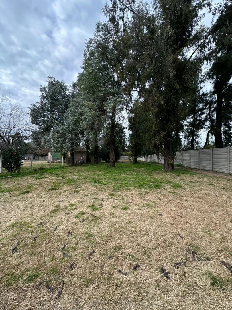 Lote en Alberto Williams 800