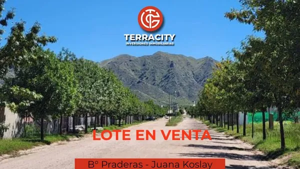 Lote en Av del Portezuel