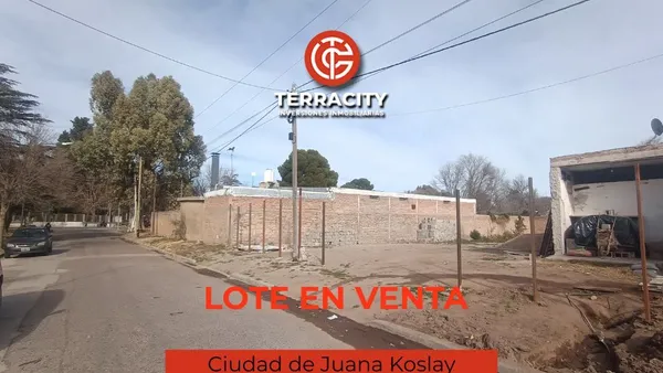 Lote en Roger Ballet 1000