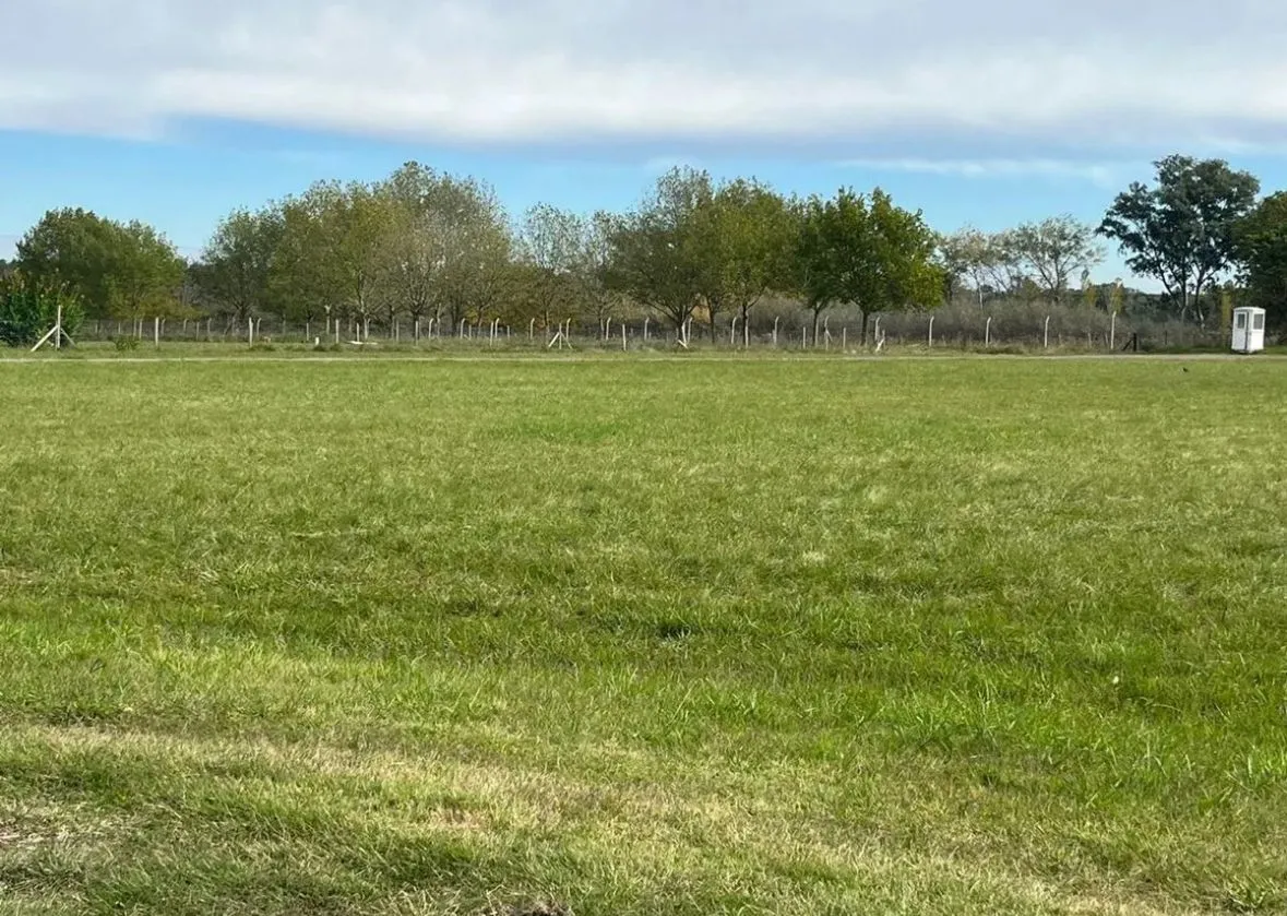 Lote en