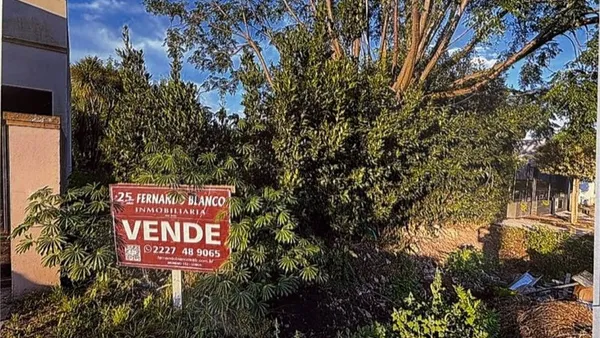Lote en 235