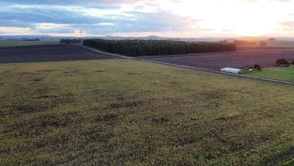 Campo