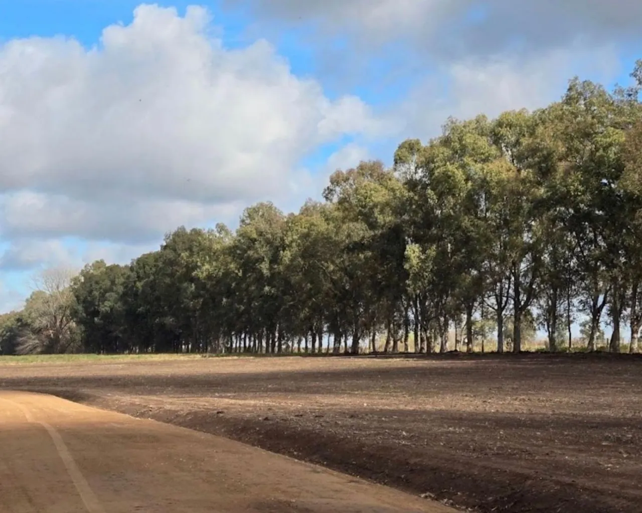 Lote en EL RESERO
