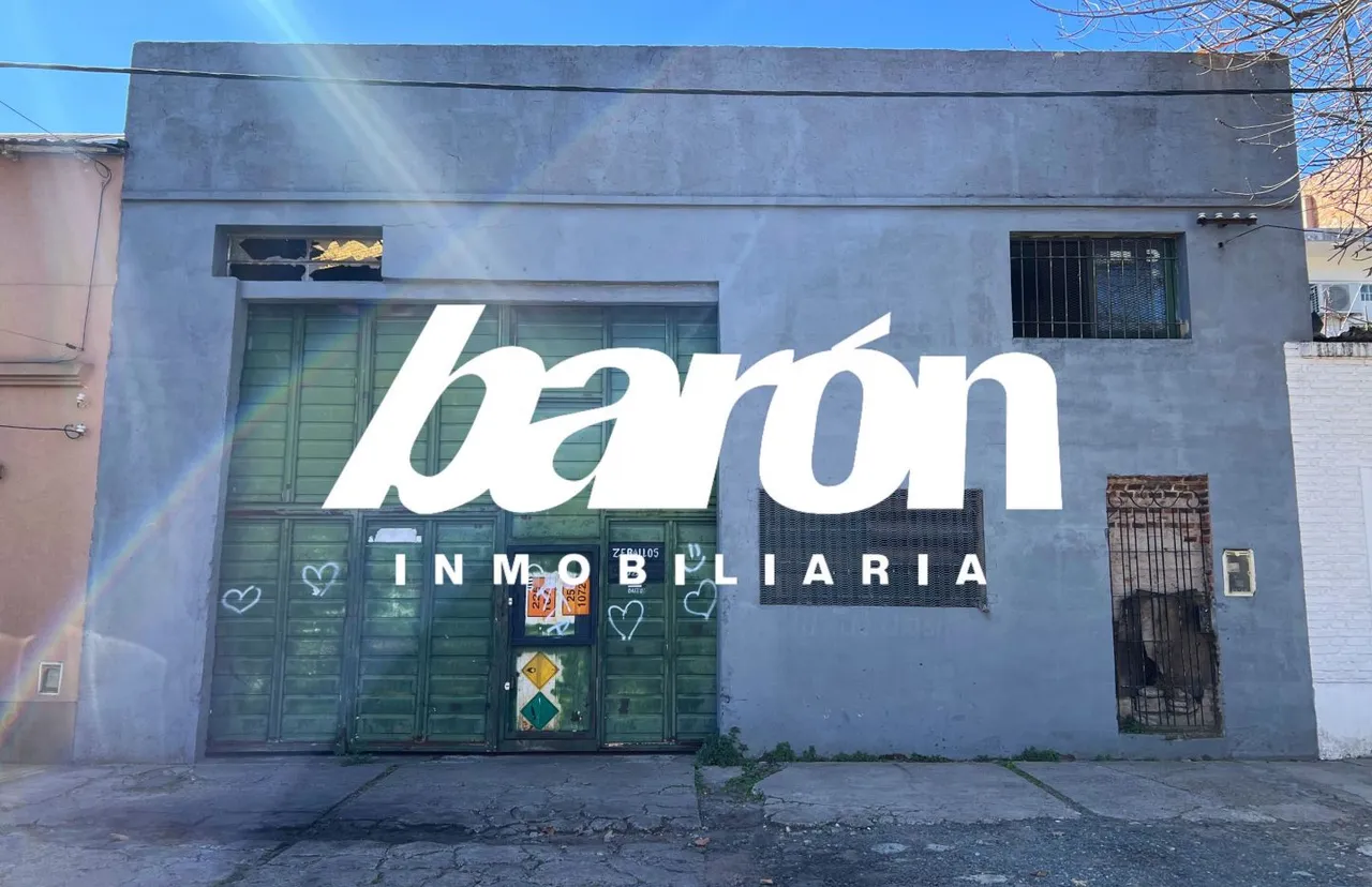 Galpon en Zeballos 100
