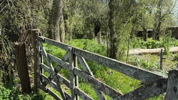 Campo en Cuartel I