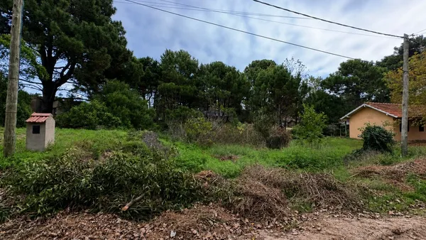 Lote en Vasco núñes de