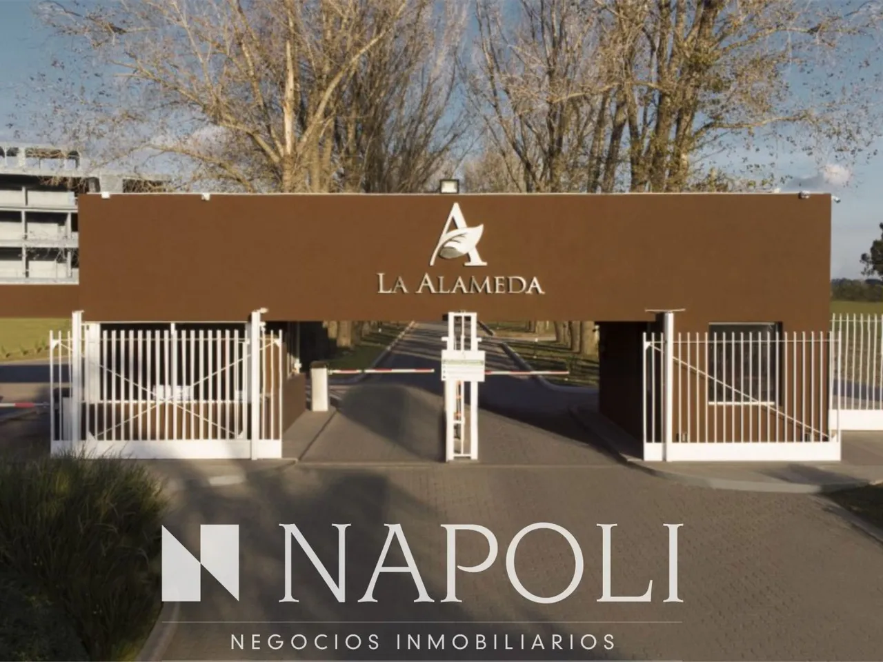 Lote en