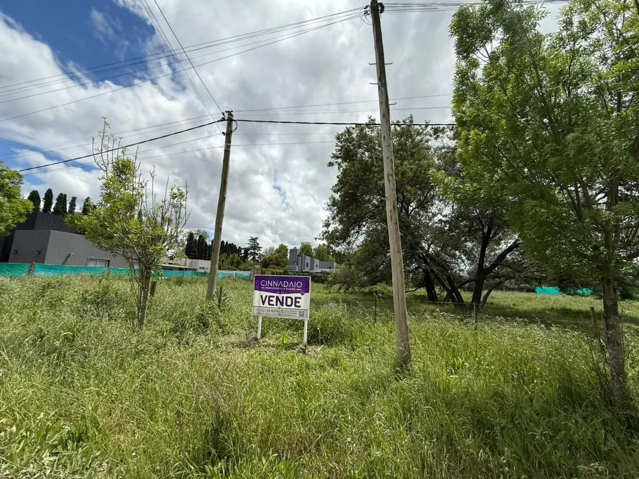 Lote en 245