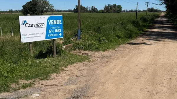 Campo
