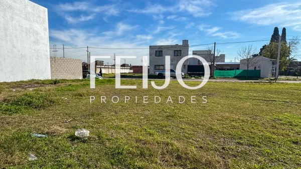 Lote en tapalque