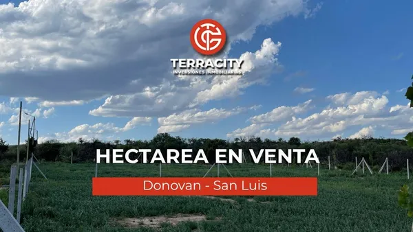 Lote