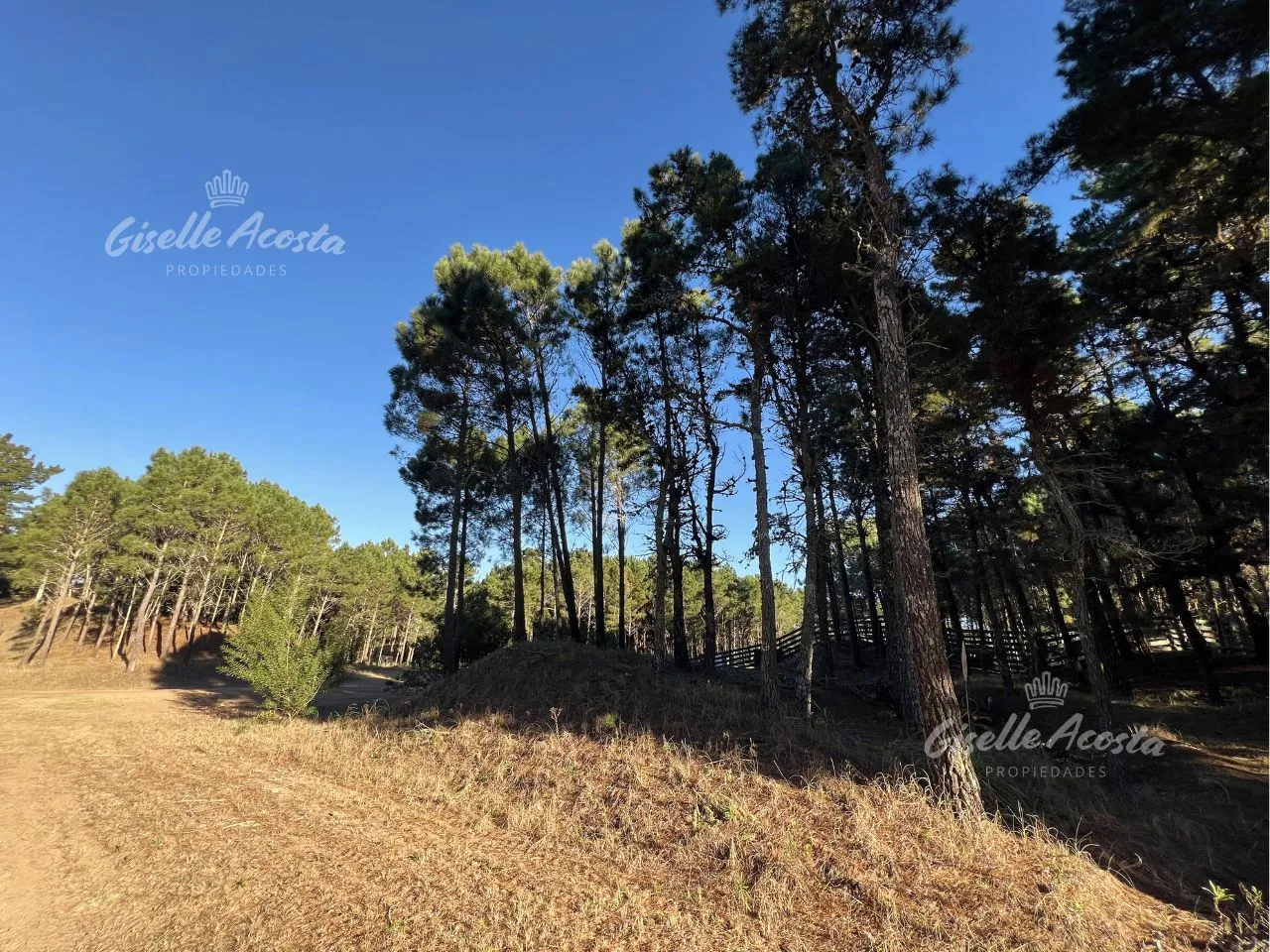 Lote en Avenida Verde de