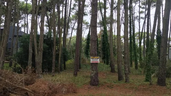 Lote en Pedro Luro