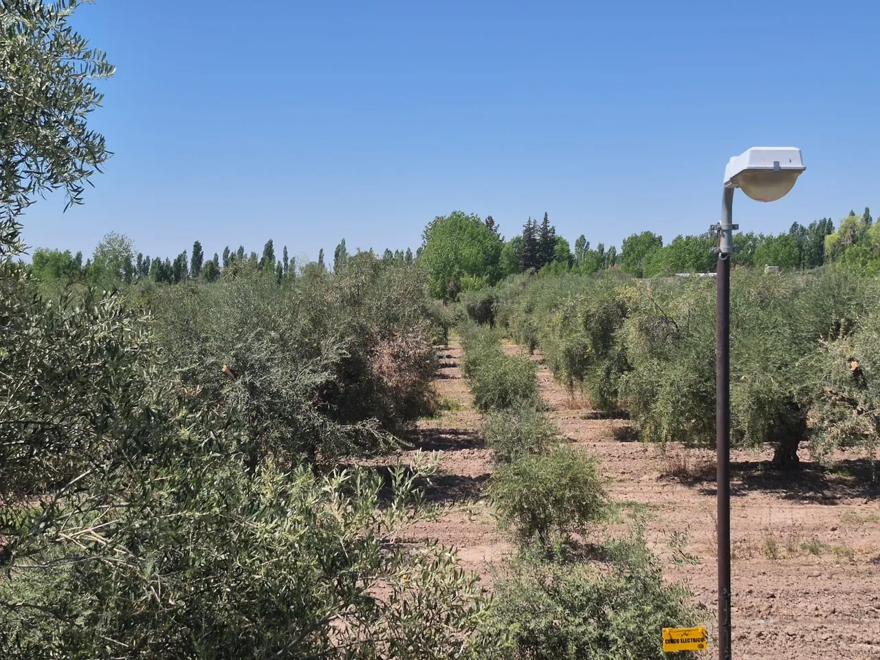 Campo en Ozamis Sur 2820, 2800