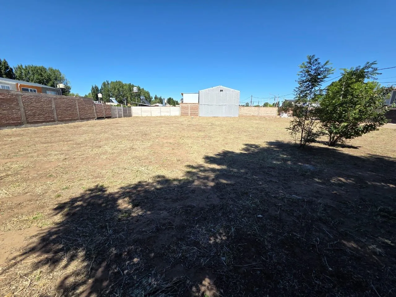 Lote en Lusitano