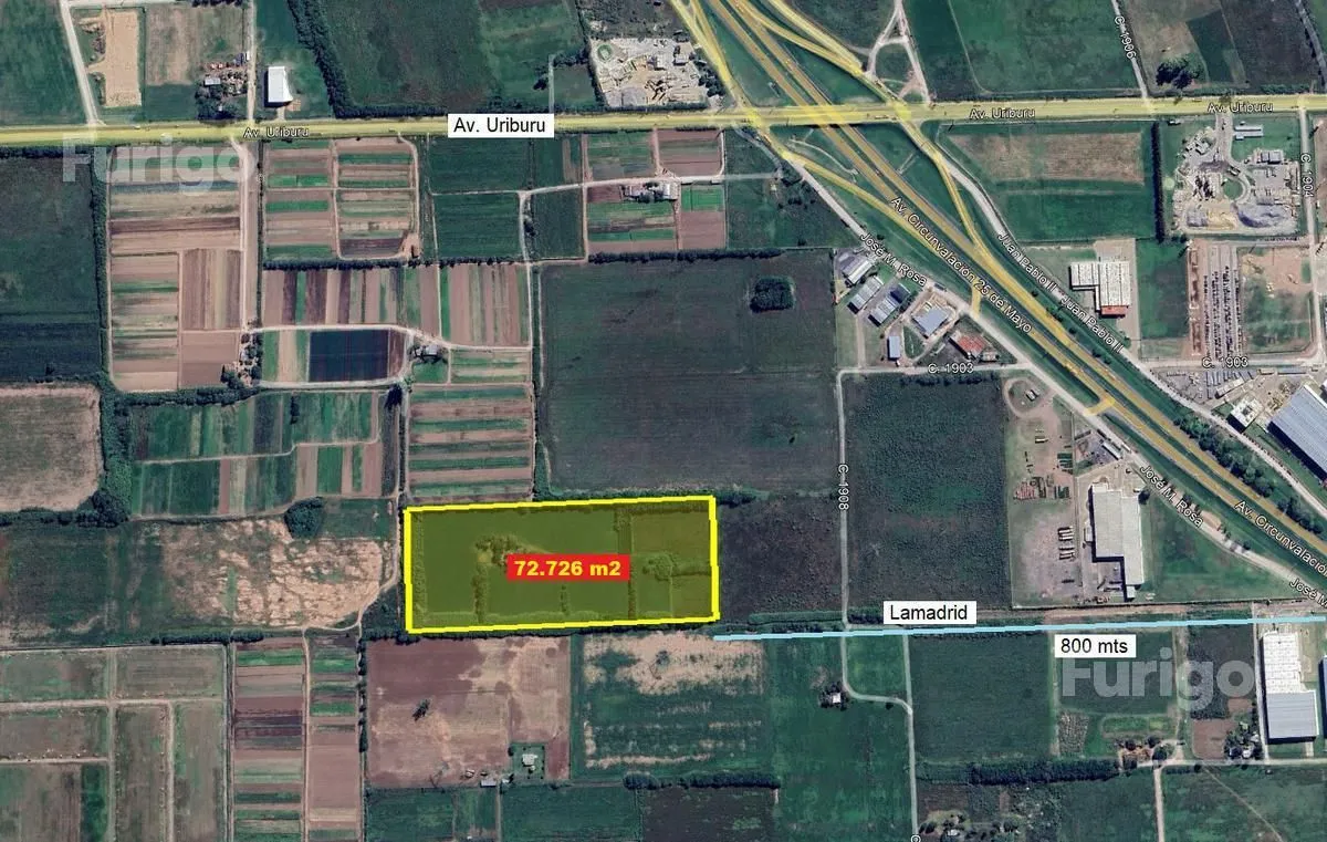 Lote en Sobre Calle Lama