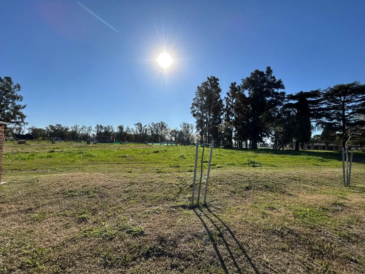 Lote en