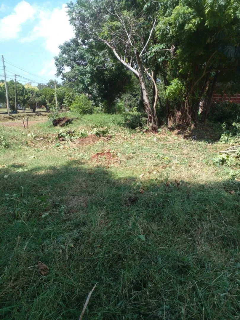 Lote en 226