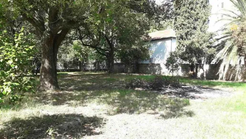 Lote en tupac amaru 1300