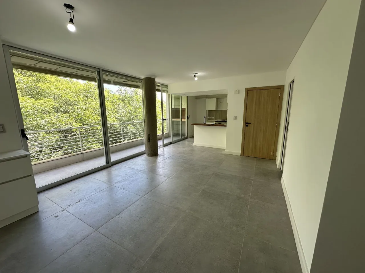 Departamento en PELLEGRINI, CARL 200