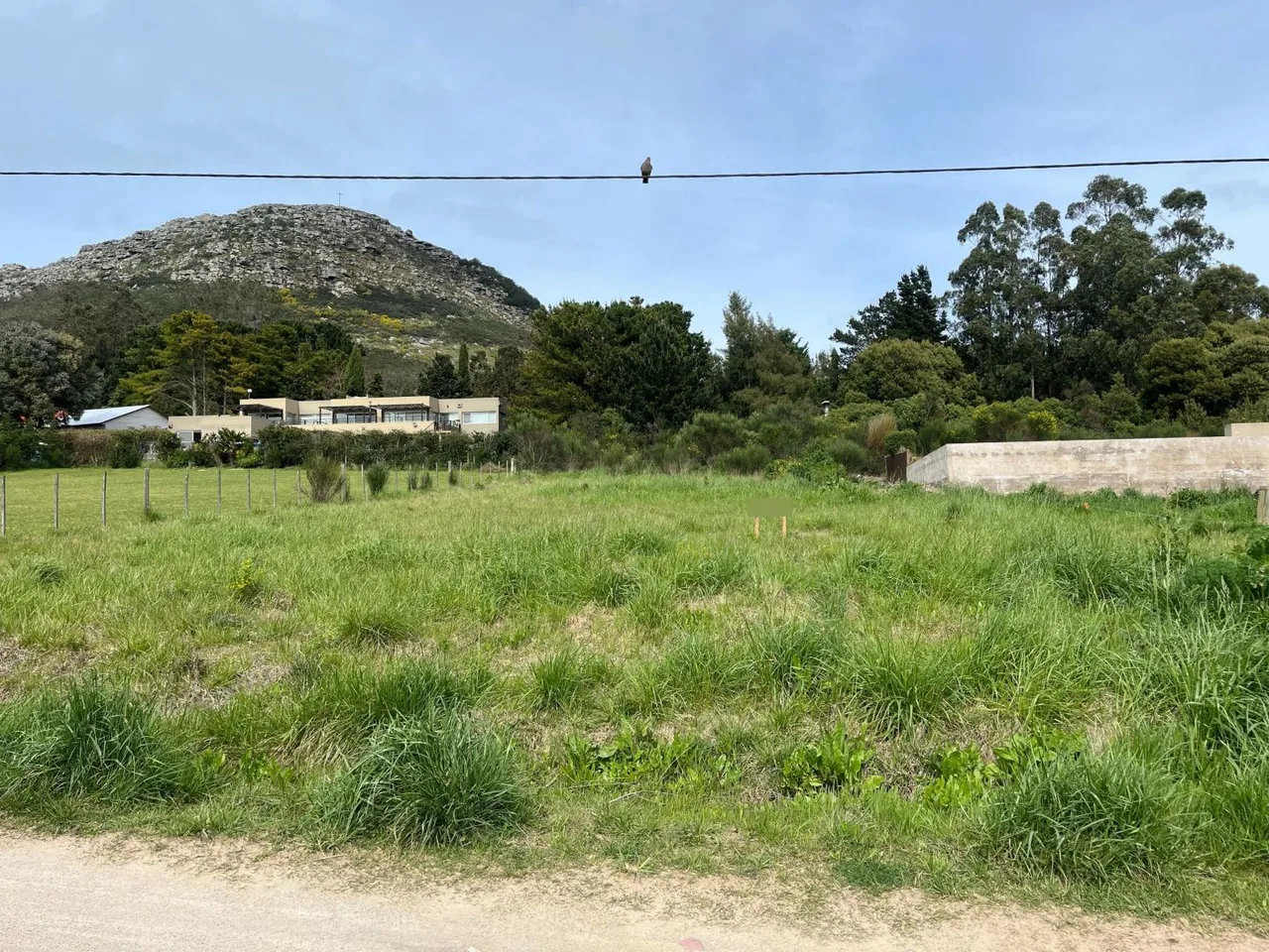 Lote en 51 entre 40 y 42