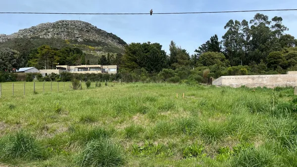 Lote en 51 entre 40 y 42