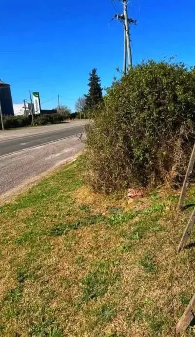 Lote en Ruta Prov. 11 Km
