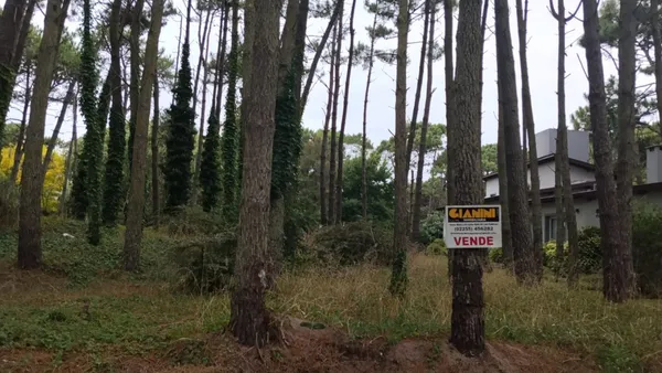 Lote en Pedro Luro