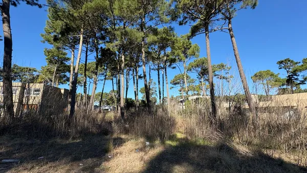 Lote en De la deriva 100
