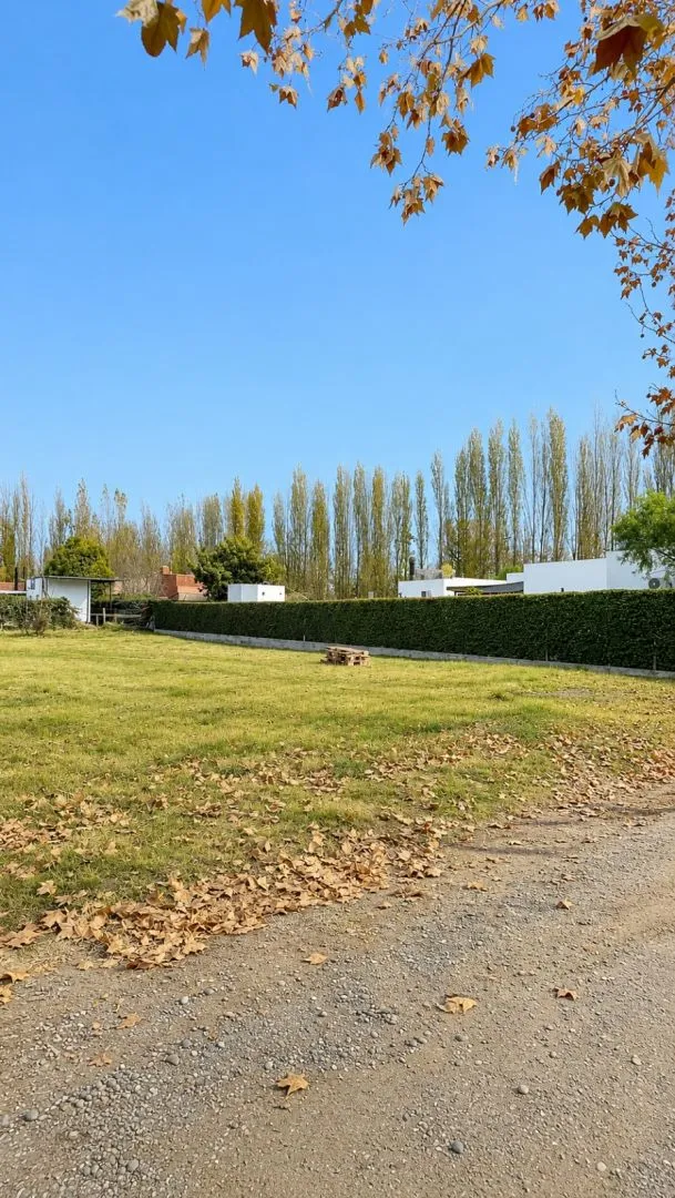 Lote en Alberdi 800