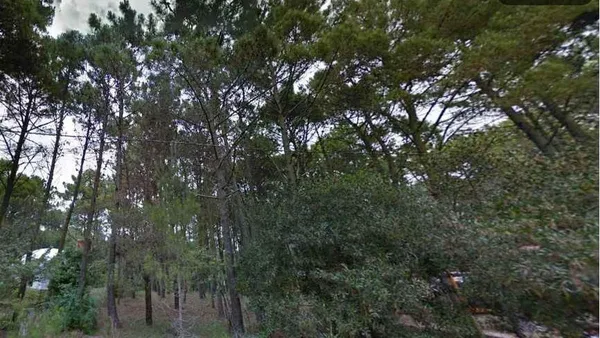 Lote en Almafuerte