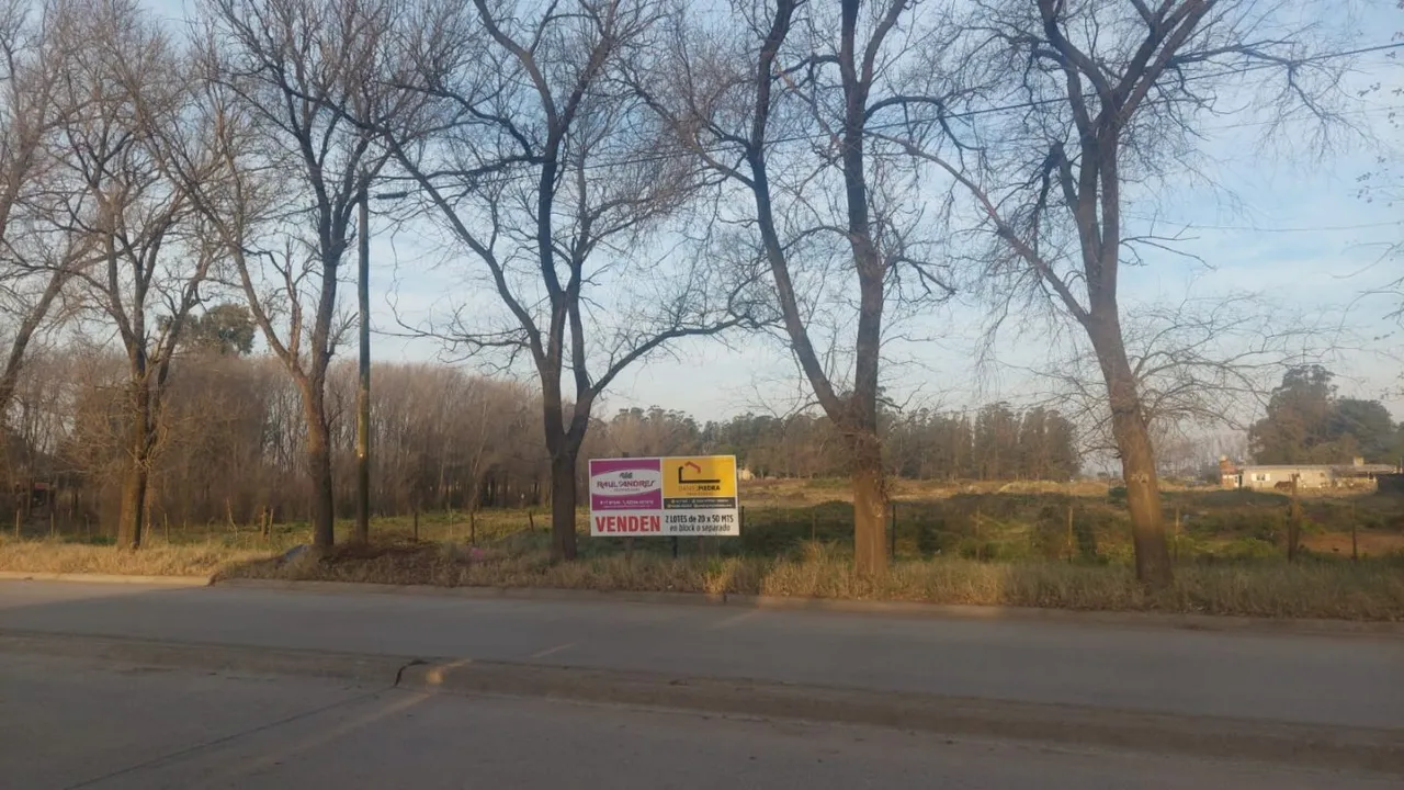 Lote en 40