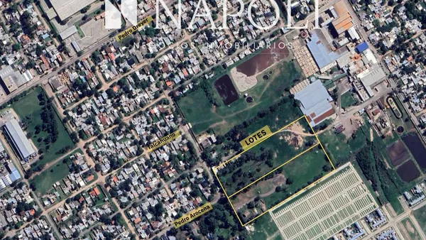 Lote