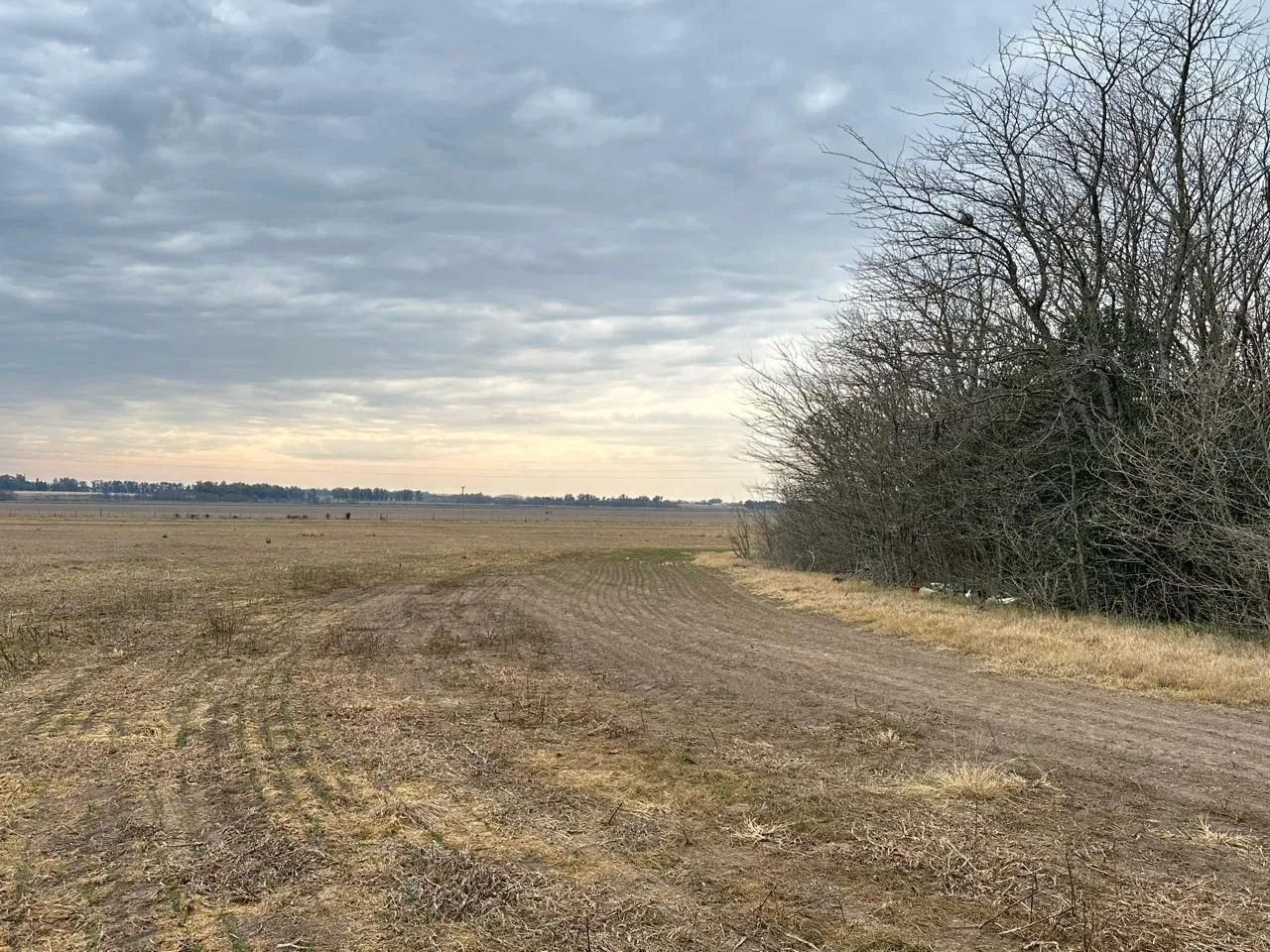 Campo en Ruta 8 100