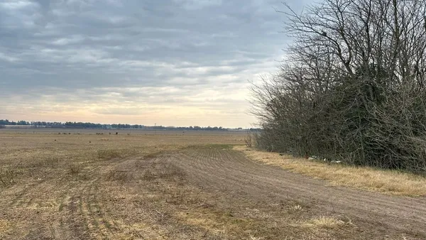 Campo en Ruta 8 100