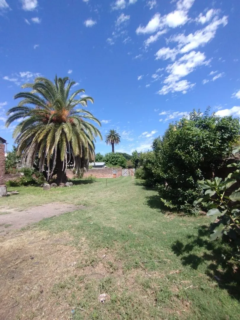 Lote en 10