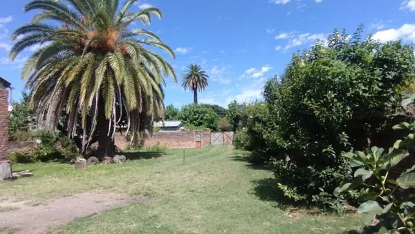 Lote en 10