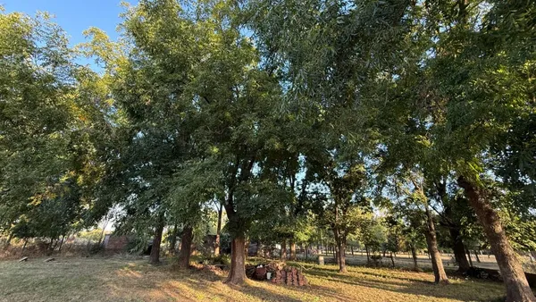Quinta en Barracas 2400