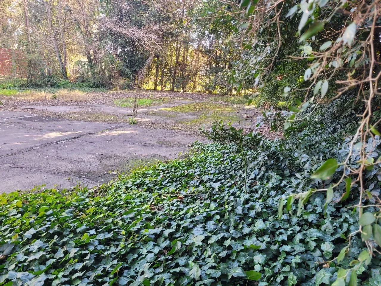 Lote en Ambato 1000