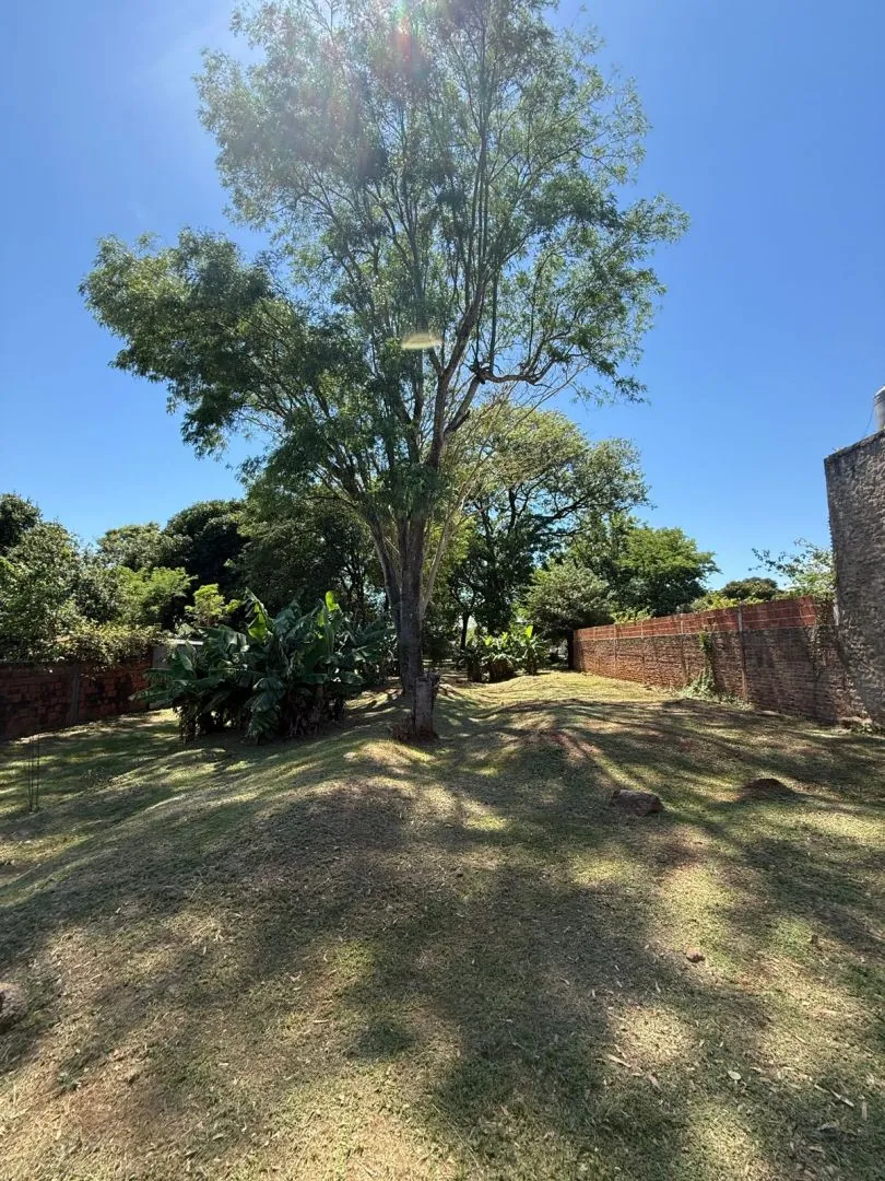 Lote en aguado 1457